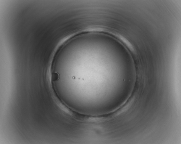 X0000115260840200911061237