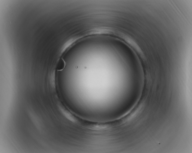 X0000115260842200911061237