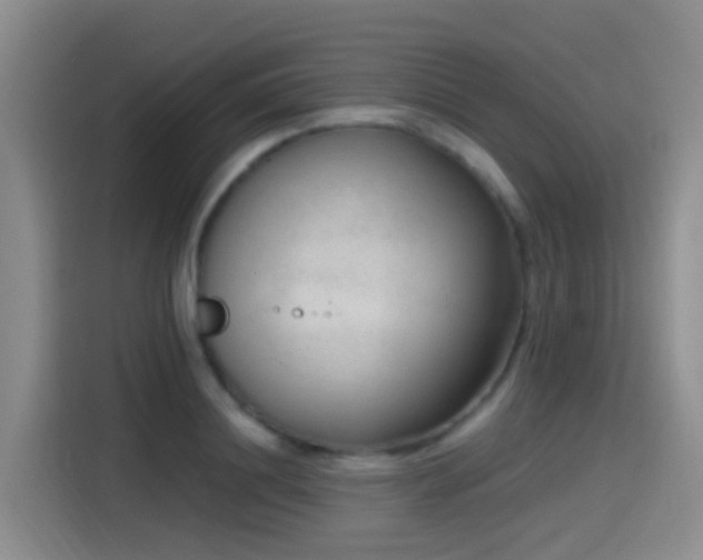 X0000115260844200911061237