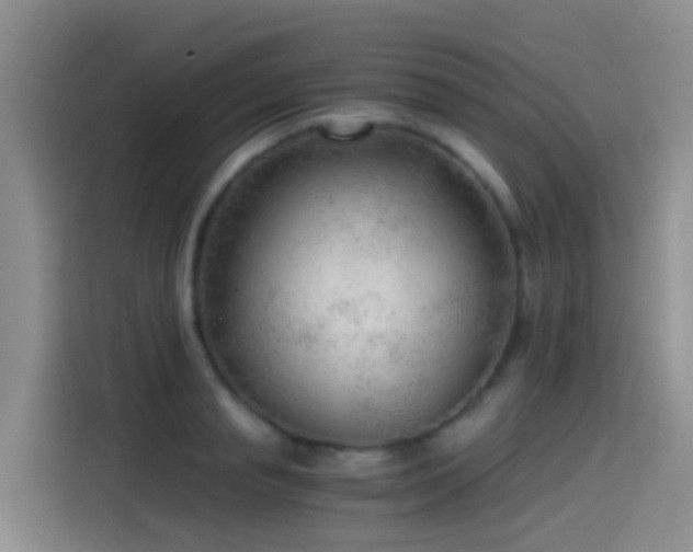 X0000115260845200911061237