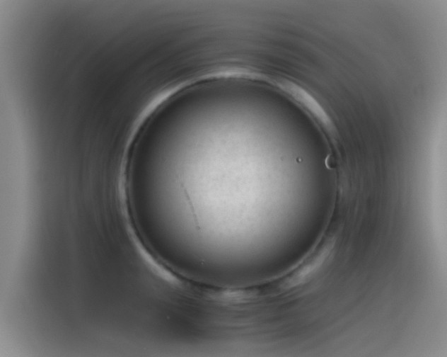 X0000115260847200911061237