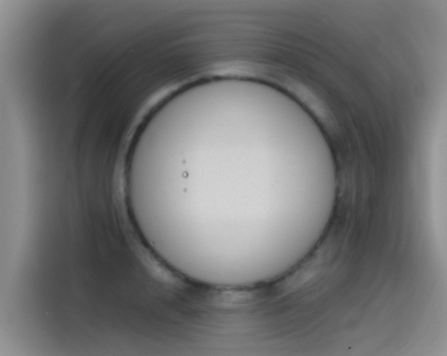 X0000115260848200911061237