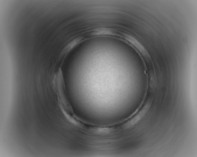 X0000115260849200911061237