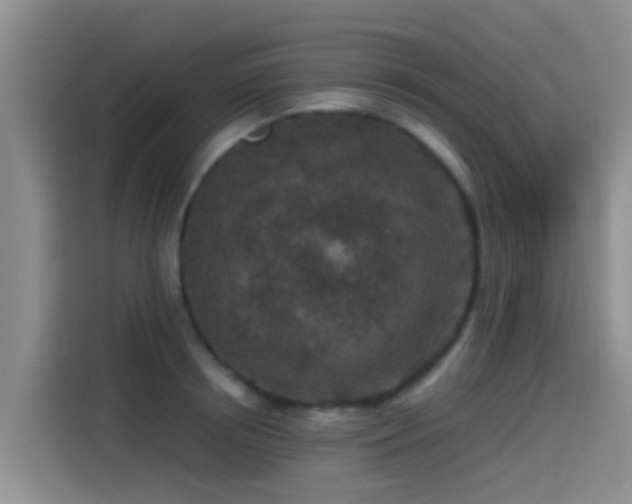 X0000115260850200911061237