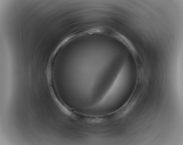 X0000115260851200911061237