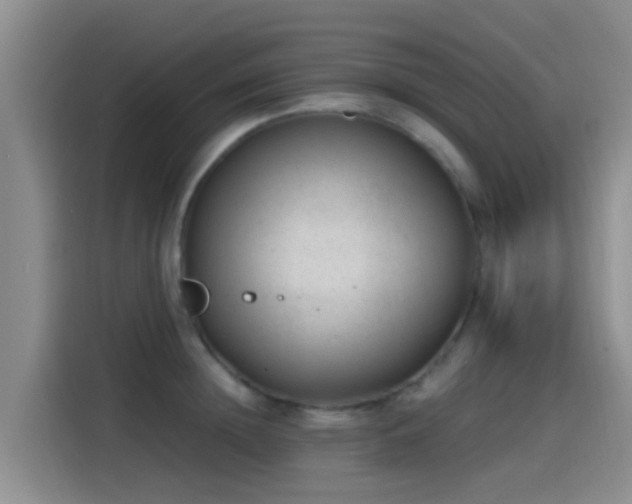 X0000115260852200911061237