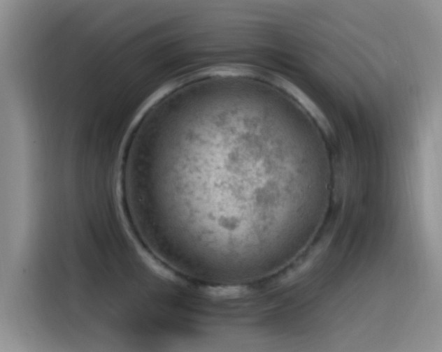 X0000115260853200911061237