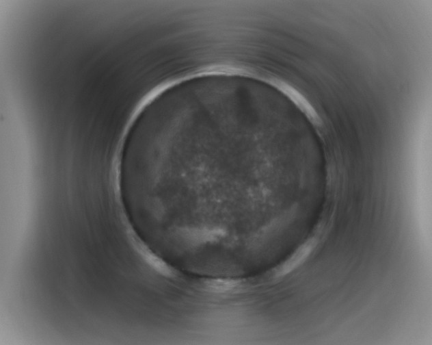 X0000115260854200911061237