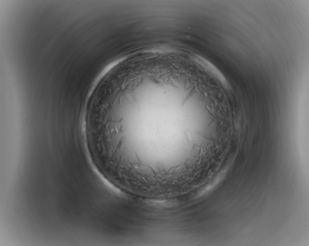 X0000115260855200911061237