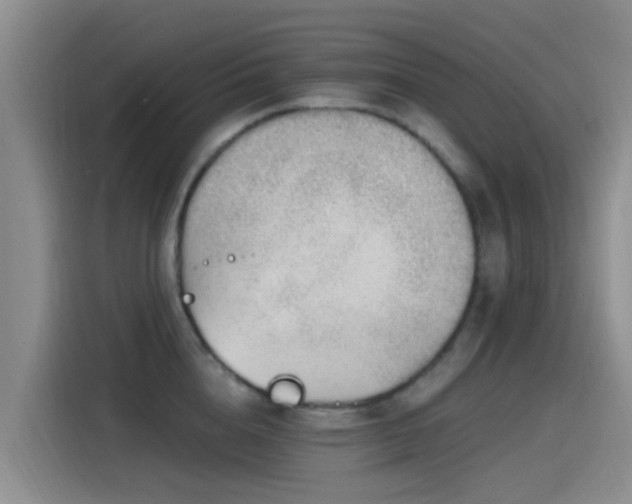 X0000115260856200911061237