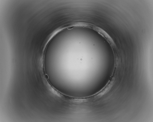 X0000115260860200911061237