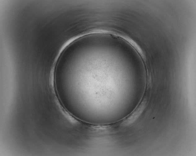 X0000115260862200911061237