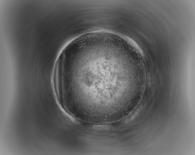 X0000115260863200911061237