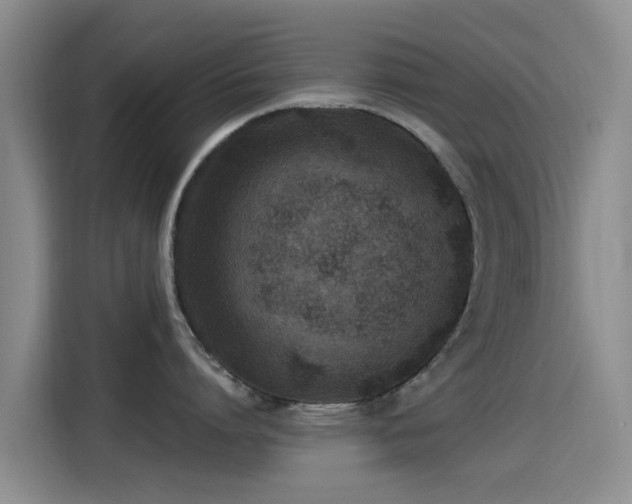 X0000115260864200911061237