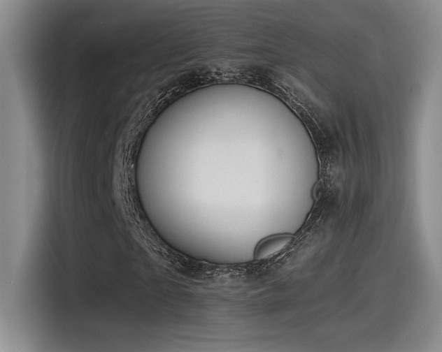 X0000115260865200911061237