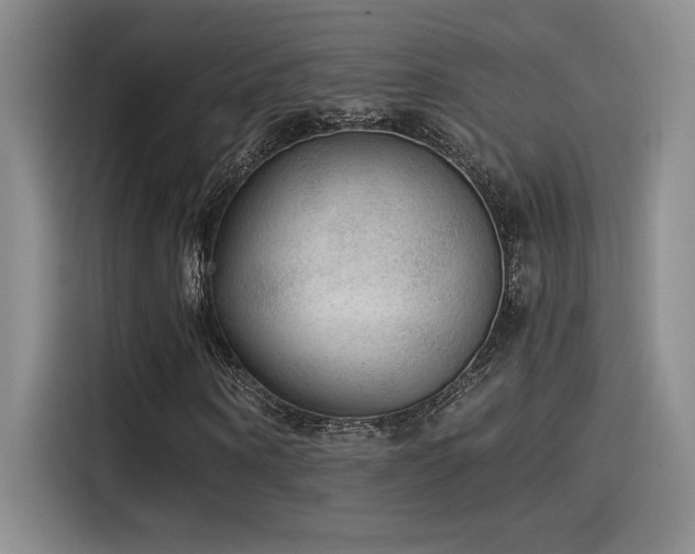 X0000115260866200911061237