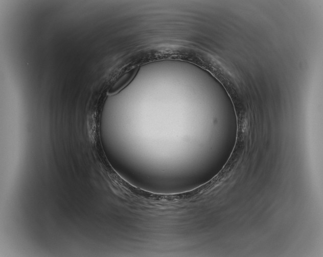 X0000115260868200911061237