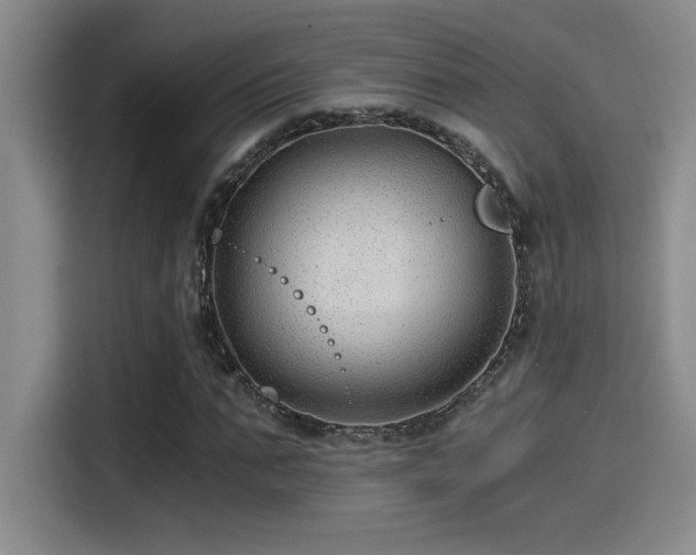 X0000115260871200911061237