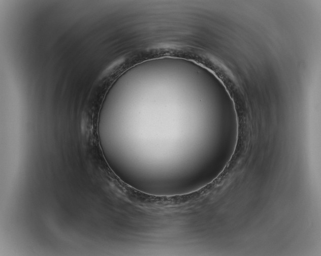 X0000115260872200911061237