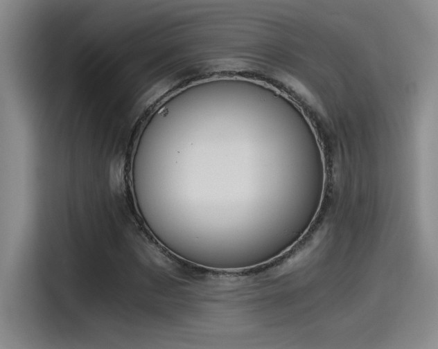 X0000115260873200911061237