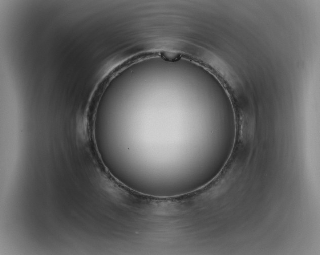 X0000115260876200911061237