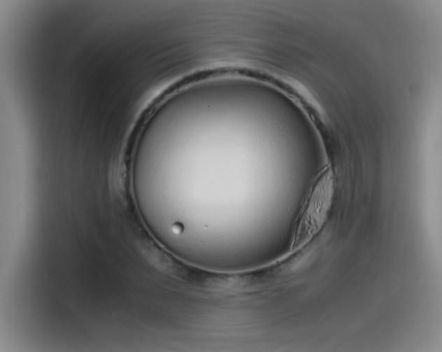 X0000115260879200911061237