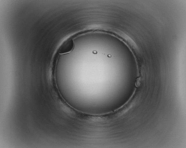 X0000115260880200911061237