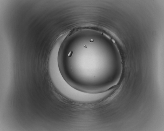 X0000115260881200911061237