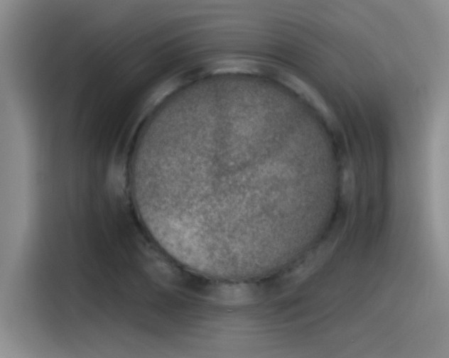 X0000115260882200911061237