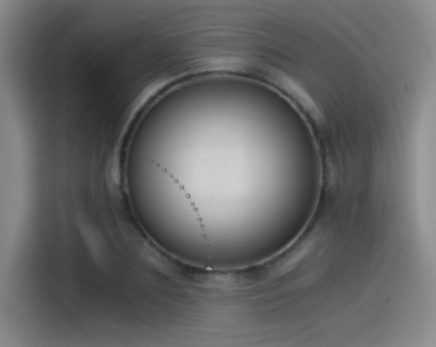 X0000115260883200911061237