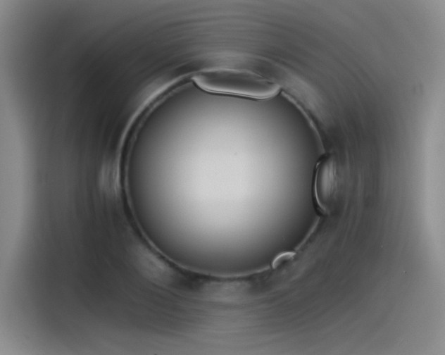 X0000115260884200911061237