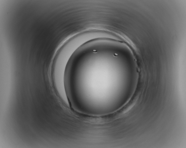 X0000115260885200911061236