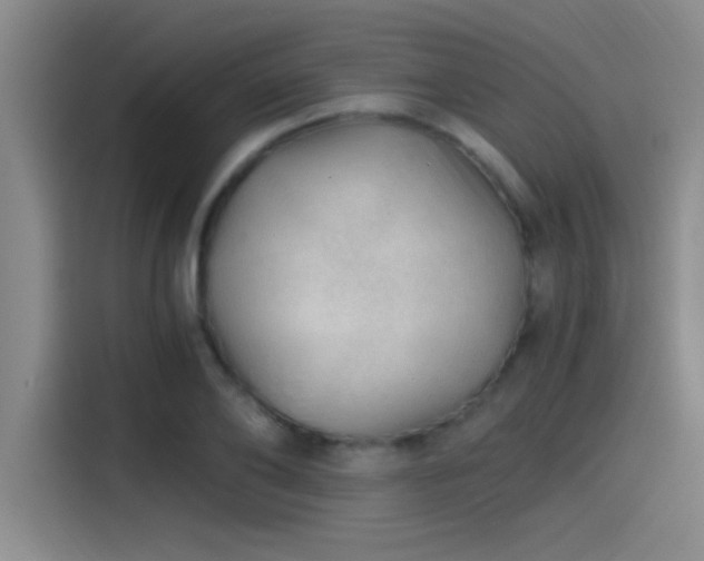 X0000115260886200911061236