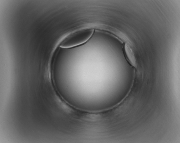 X0000115260888200911061236