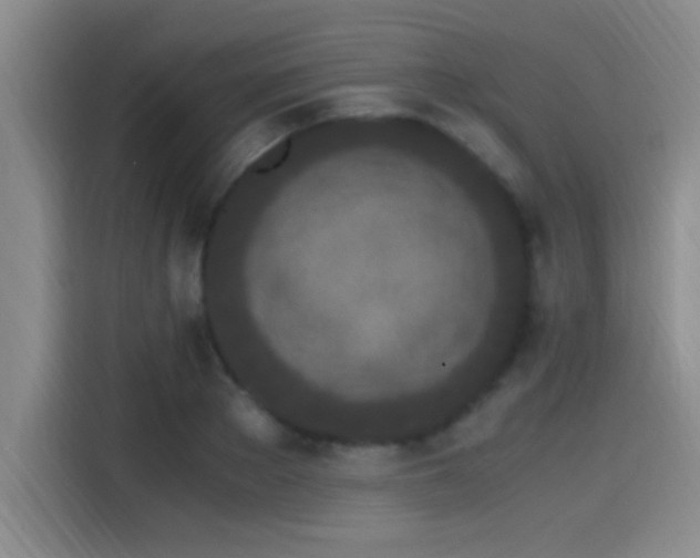 X0000115260889200911061236