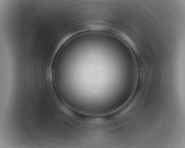 X0000115260891200911061236