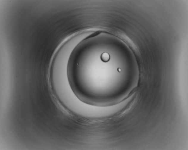 X0000115260892200911061236