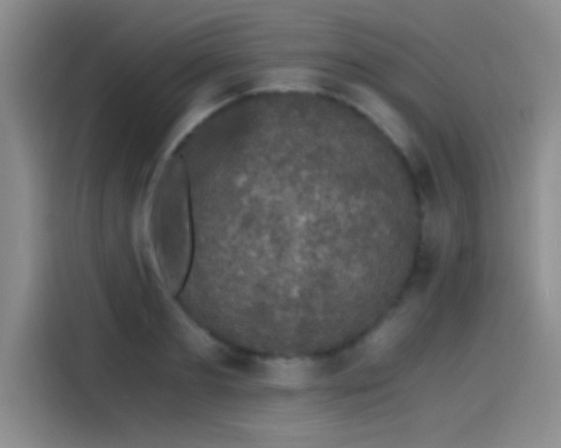 X0000115260893200911061236