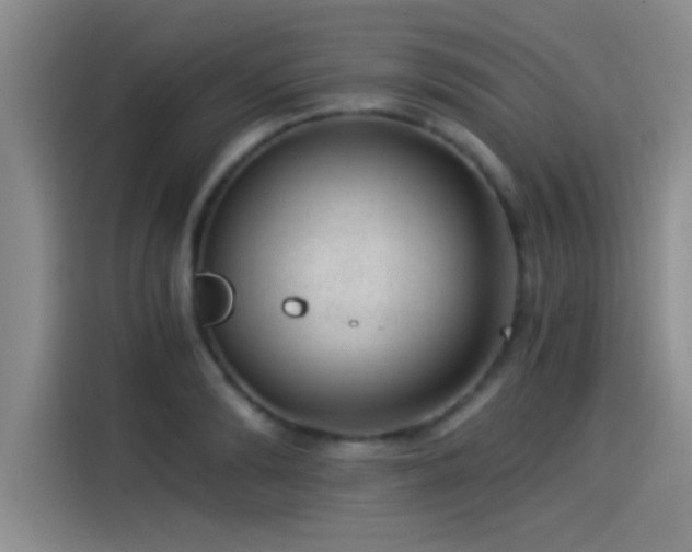 X0000115260894200911061236