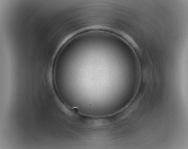 X0000115260895200911061236