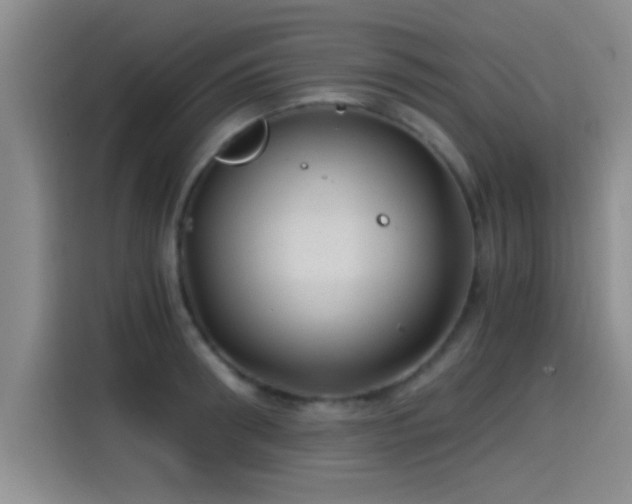 X0000115260898200911061236
