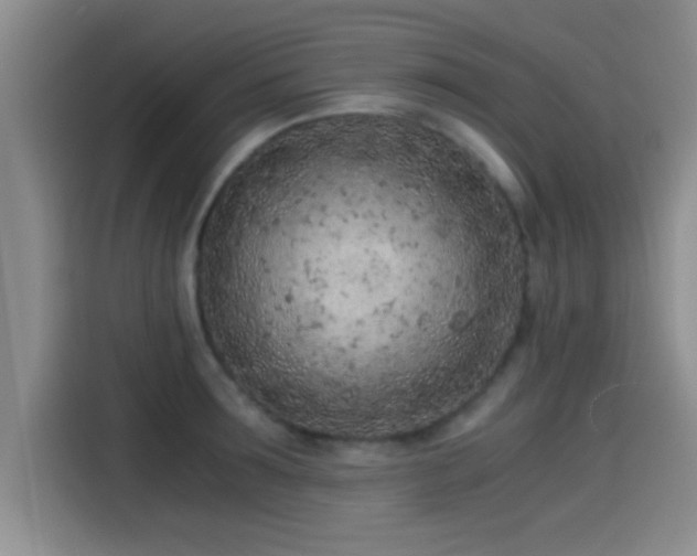 X0000115260899200911061236