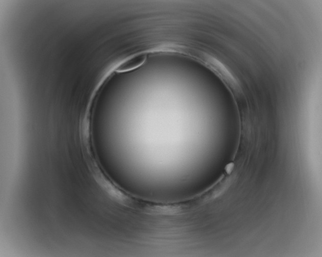 X0000115260900200911061236