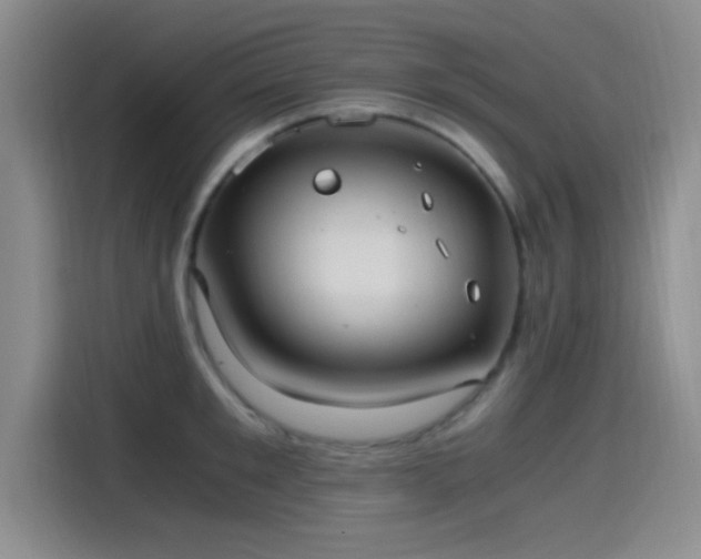 X0000115260901200911061236