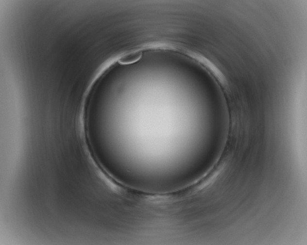 X0000115260902200911061236