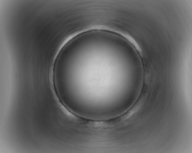 X0000115260903200911061236