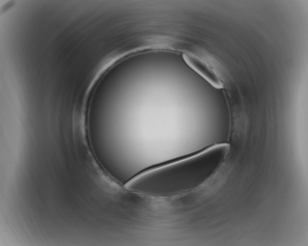 X0000115260904200911061236