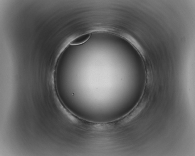X0000115260906200911061236