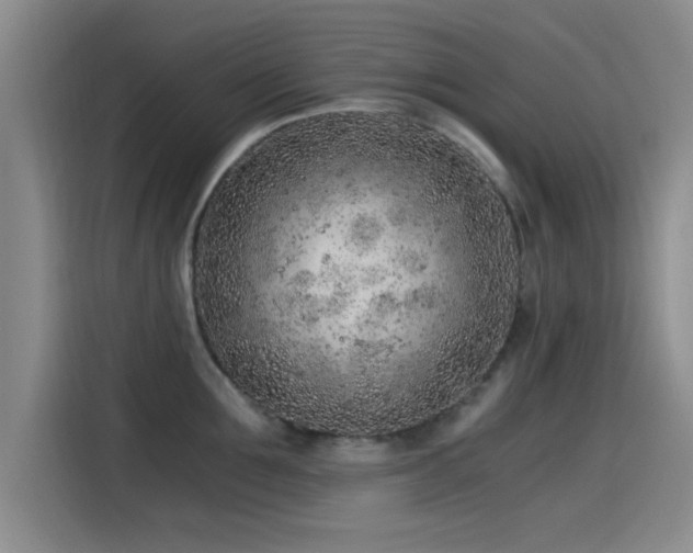 X0000115260907200911061236
