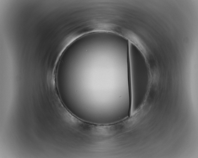 X0000115260908200911061236